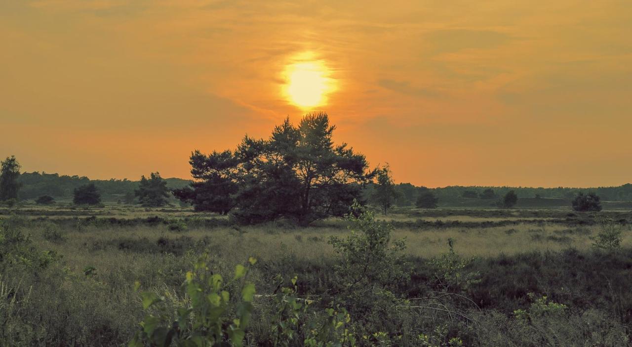 Lodge Goudvink Nunspeet Veluwe Buitenkant foto